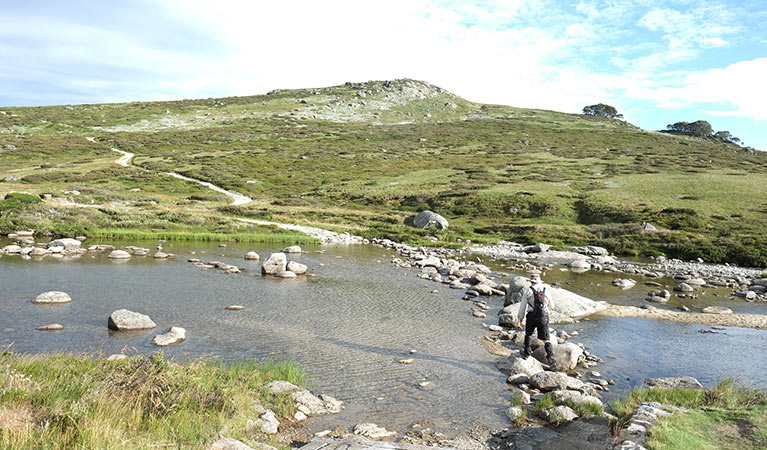 Snowy River crossing, Main Range walk, Kosciuszko National Park. Photo: E Sheargold &copy; OEH