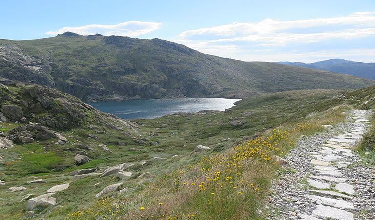 Blue Lake, Main Range walk, Kosciuszko National Park. Photo: E Sheargold &copy; OEH