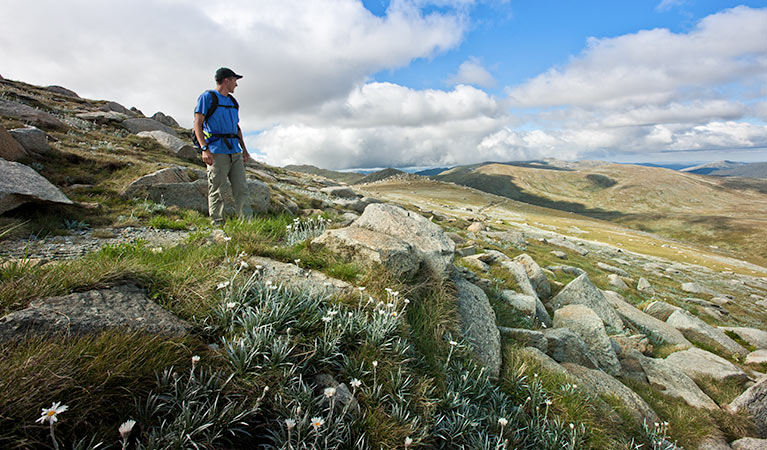 Main Range walking track, Kosciuszko National Park. Photo: Murray van der Veer