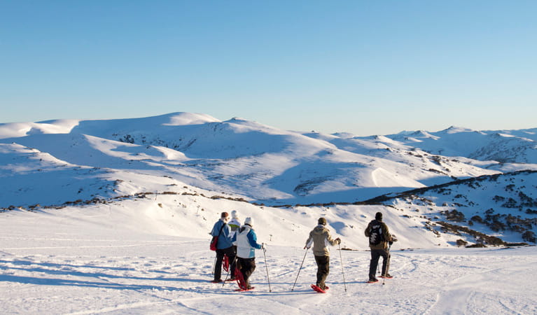 Charlotte Pass Ski Resort, Kosciuszko National Park. Photo: S Pawsey/Charlotte Pass Village Pty Ltd