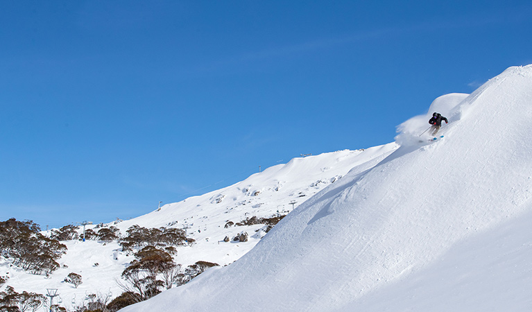 An adventure skier plows through powedery snow on ski terrain in Perisher Resort. Photo: Images supplied courtesy of Perisher Ski Resort