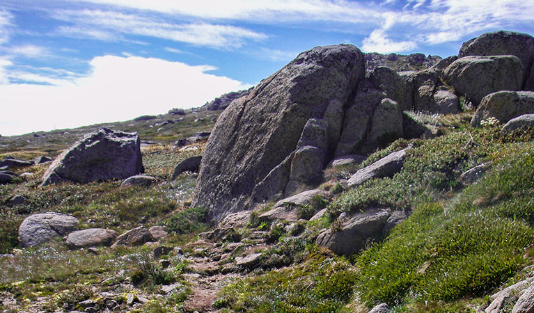 Mount Stilwell Walk, Kosciuszko National Park.