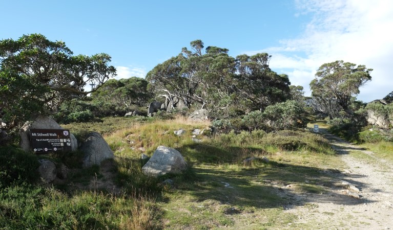 A sign along Mount Stilwell walk in the Thredbo-Perisher area of Kosciuszko National Park. Photo: Elinor Sheargold &copy; OEH