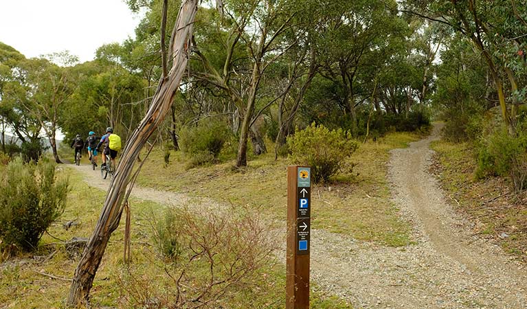 Biker riders pass Muzzlewood track signage, Kosciuszko National Park. Photo: E Sheargold/OEH