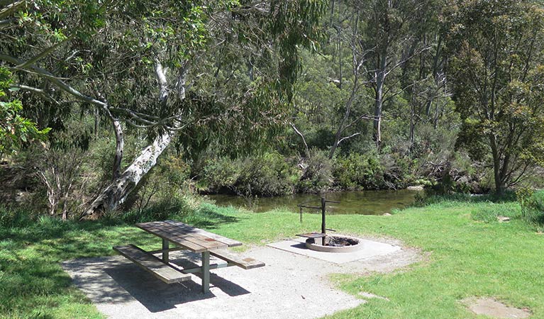 Picnic table and fire ring, Ngarigo campground, Kosciuszko National Park. Photo: E Sheargold/OEH