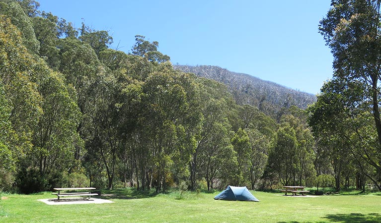 Tent at Ngarigo campground, Kosciuszko National Park. Photo: E Sheargold/OEH