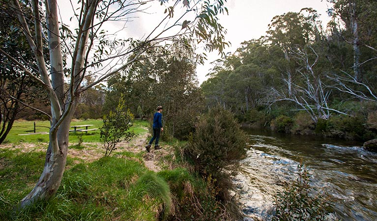 Ngarigo campground, Kosciuszko National Park. Photo: Murray Vanderveer/DPIE