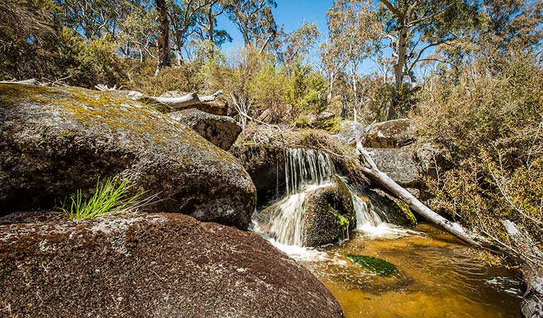 Pallaibo walking track, Kosciuszko National Park. Photo: Murray Vanderveer &copy; OEH