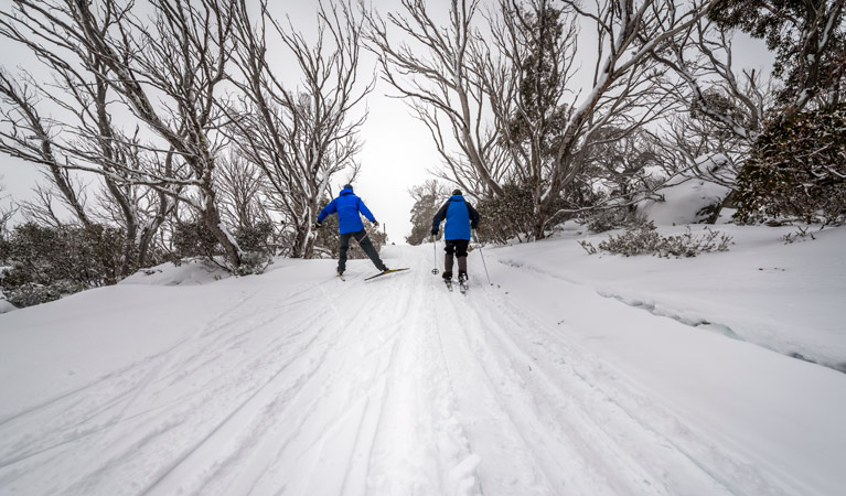 Perisher Range cross-country ski trails, Kosciuszko National Park. Photo: John Spencer