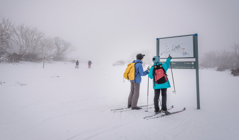 Perisher Range cross-country ski trails, Kosciuszko National Park. Photo: John Spencer/OEH