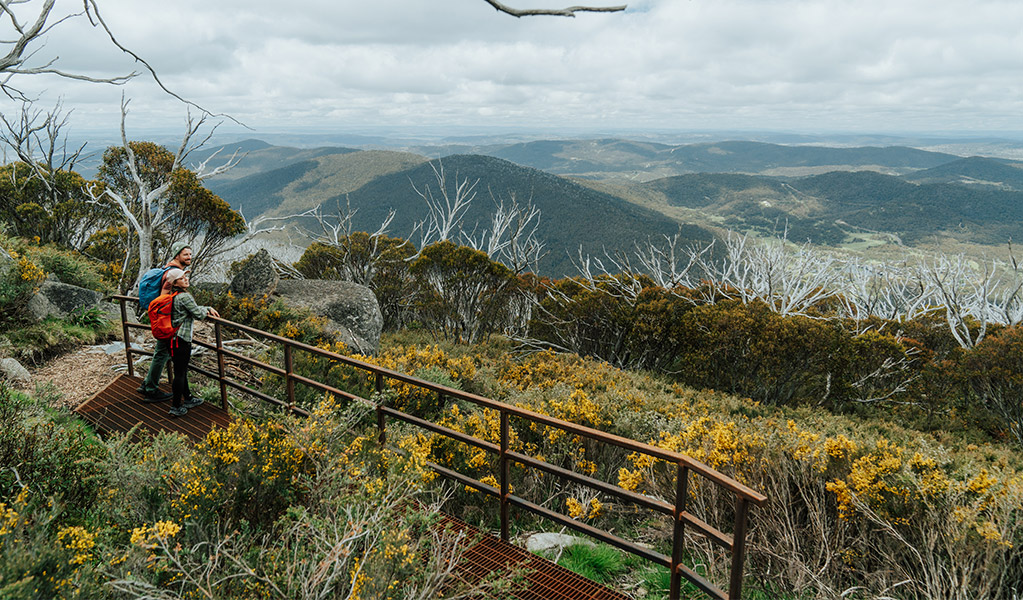 2 hikers looking out an explansive view of the Snowy Mountains surrounded by wildflowers on the Perisher Valley to Bullocks Flat walk. Credit: Remy Brand / DCCEEW &copy; Caravel Content