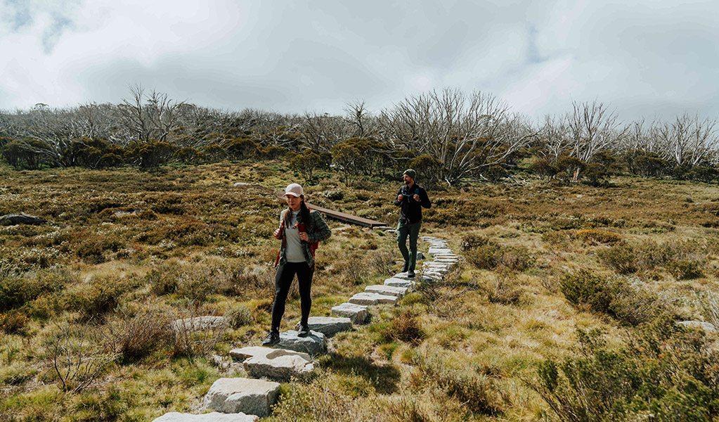 2 people walking on a path of stepping stones along Perisher Valley to Bullocks Flat walk with snow gums in the background. Credit: Remy Brand / DCCEEW &copy; Caravel Content