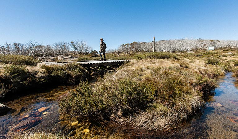 A walker crosses Rock Creek, on Porcupine walk in Kosciuszko National Park. Photo: Murray Vanderveer