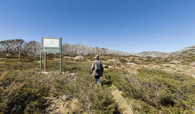 A hiker on Porcupine walk, Kosciuszko National Park. Photo: Murray Vanderveer