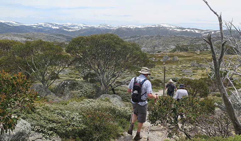 Hikers on Porcupine walk, with Main Range and Perisher Range views. Photo: Elinor Sheargold &copy; OEH