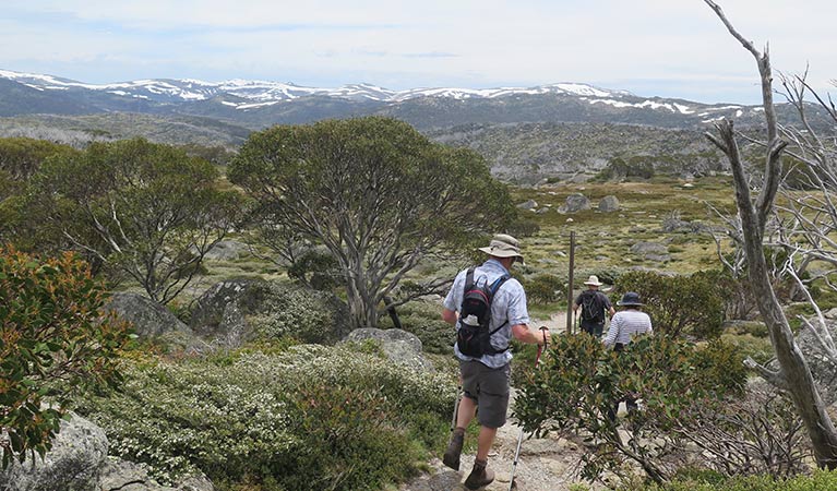 Hikers on Porcupine walk, with Main Range and Perisher Range views. Photo: Elinor Sheargold &copy; OEH