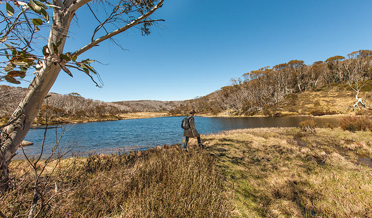 Rainbow Lake walking track, Kosciuszko National Park. Photo: Murray Vanderveer &copy; OEH