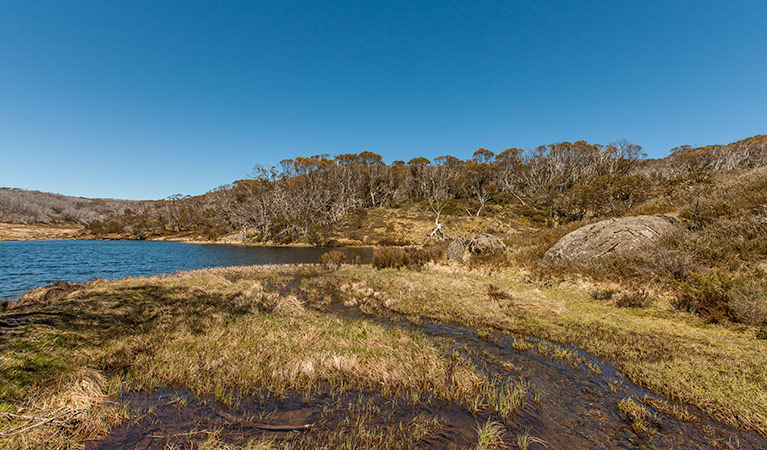 Rainbow Lake walking track, Kosciuszko National Park. Photo: Murray Vanderveer &copy; OEH