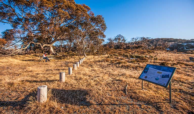 Rennix walking track, Kosciuszko National Park. Photo: Murray Vanderveer &copy; OEH