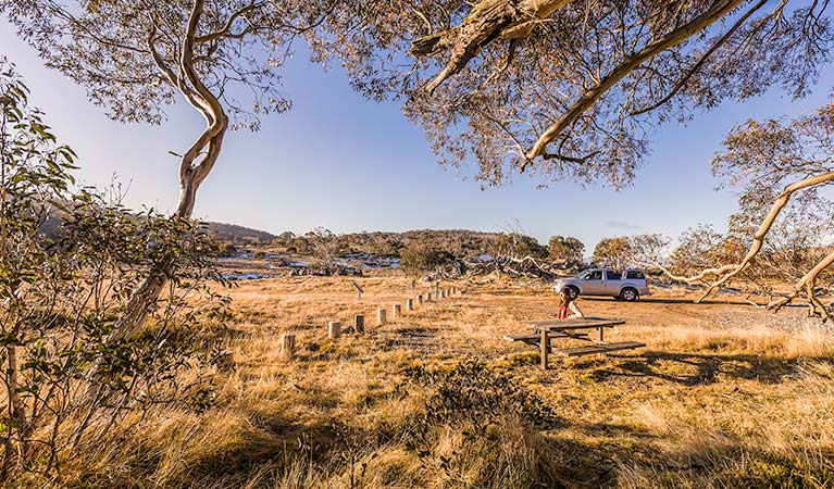 Rennix walking track, Kosciuszko National Park. Photo: Murray Vanderveer &copy; OEH