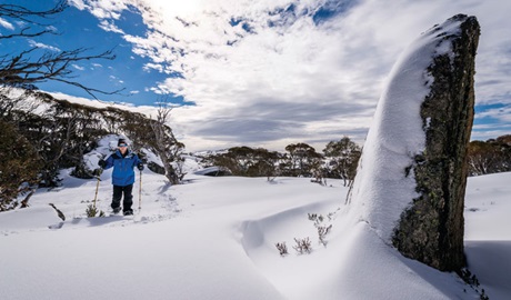 Try shoeshoeing Perisher's Rock Creek in Kosciuszko National Park. Photo: John Spencer/OEH