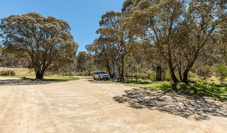 Sawpit Creek picnic area, Kosciuszko National Park. Photo: Murray Vanderveer &copy; OEH