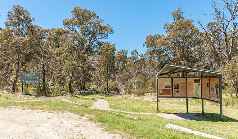 Sawpit Creek picnic area, Kosciuszko National Park. Photo: Murray Vanderveer &copy; OEH