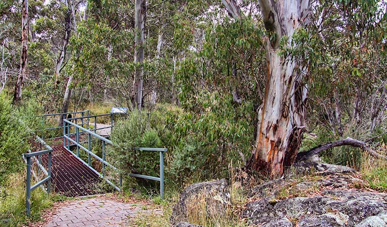 Sawpit track and bridge. Photo: Clint & Todd Wright