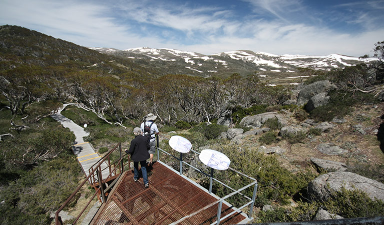 Main Range lookout on Snow Gums boardwalk, Kosciuszko National Park. Photo: Elinor Sheargold &copy; OEH