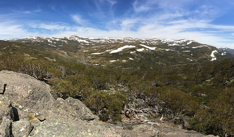 Views of the Main Range from Snow Gums boardwalk, Kosciuszko National Park. Photo: Stephen Townsend