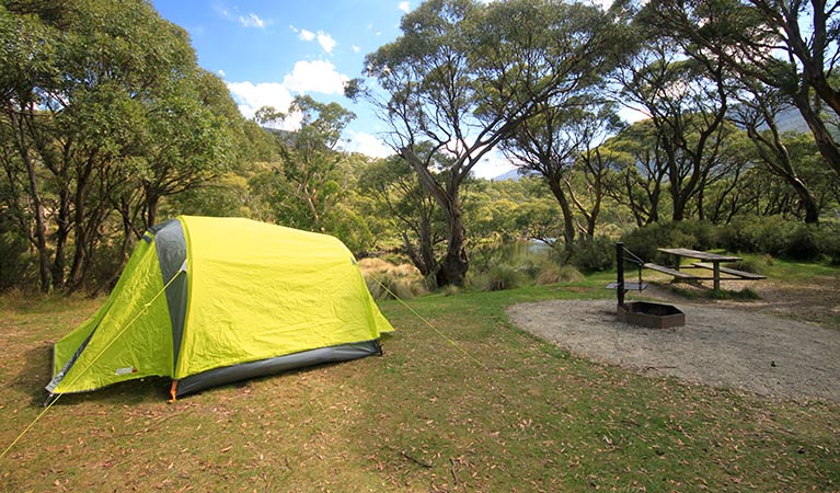 Thredbo Diggings campground, Kosciuszko National Park. Photo: Elinor Sheargold