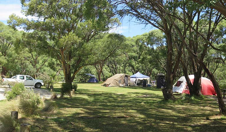 Tent campsites at Thredbo Diggings campground in Kosciuszko National Park. Photo: E sheargold/OEH