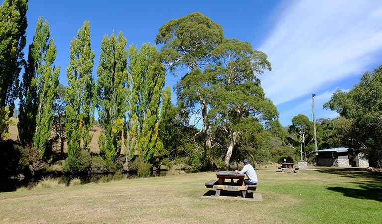 A man sits at a picnic table at Thredbo River picnic area in Kosciuszko National Park. Photo: Elinor Sheargold/DPIE