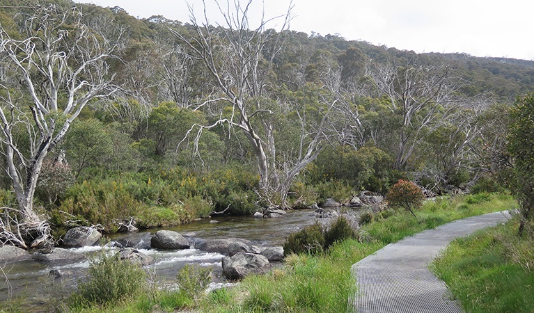 Mesh walkway alongside the river on Thredbo River track, Kosciuszko National Park. Photo: E Sheargold &copy; OEH