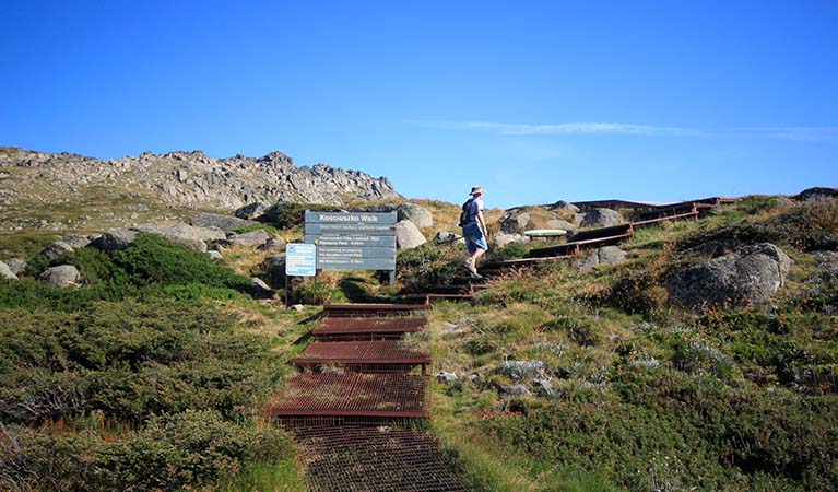 Thredbo to Mount Kosciuszko walk, Kosciuszko National Park. Photo: Elinor Sheargold &copy; OEH