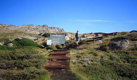Thredbo to Mount Kosciuszko walk, Kosciuszko National Park. Photo: Elinor Sheargold &copy; OEH