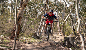 A mountain bike rider jumps over a track feature along a technical section of the lower Thredbo Valley track, Kosciuszko National Park. Photo: Robert Mulally/DPIE