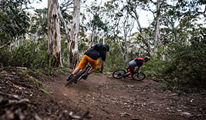 Two mountain bike riders cycle along a winding dirt section of the lower Thredbo Valley track, Kosciuszko National Park. Photo: Robert Mulally/DPIE