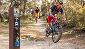 Two mountain bike riders cycle past a sign at the junction of Muzzlewood and Thredbo Valley tracks, Kosciuszko National Park. Photo: Robert Mulally/DPIE