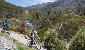 A man and woman bike ride along Thredbo Valley track beside the Thredbo River, in Kosciuszko National Park. Photo: Boen Ferguson/DPIE