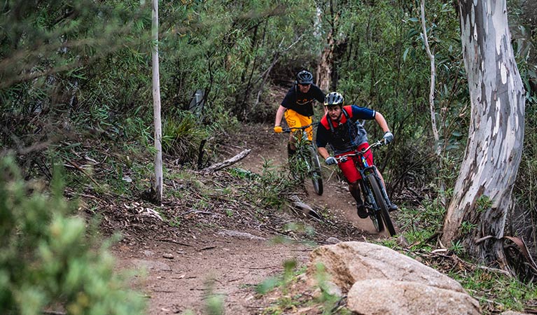 Thredbo Valley Track Adventure Rides Nsw National Parks