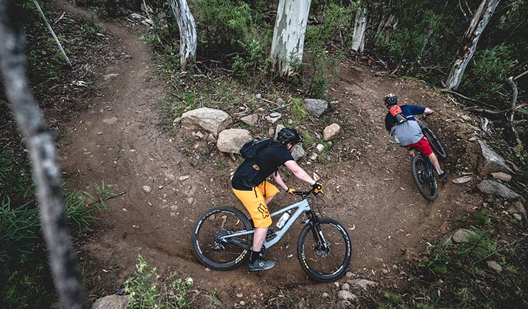 Two mountain bike riders cycle along a winding dirt section of the lower Thredbo Valley track, Kosciuszko National Park. Photo: Robert Mulally/DPIE