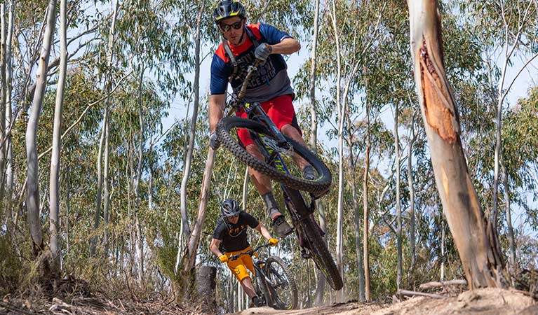 A mountain bike rider jumps over a track feature along a technical section of the lower Thredbo Valley track, Kosciuszko National Park. Photo: Robert Mulally/DPIE