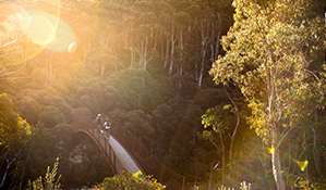 Two mountain bike riders cross a bridge along Thredbo Valley track at sunset, Kosciuszko National Park. Photo: Boen Ferguson/DPIE