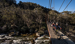 A family cycles across suspension Bridge 2 over Thredbo River, along Thredbo River track, Kosciuszko National Park. Photo: Robert Mulally/DPIE