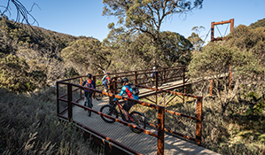 A family of 4 mountain bike riders approach Bridge 1 along Thredbo Valley track in Kosciuszko National Park. Photo: Robert Mulally/DPIE