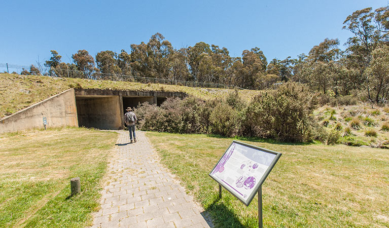 Waterfall walking track, Kosciuszko National Park. Photo: Murray Vanderveer &copy; OEH