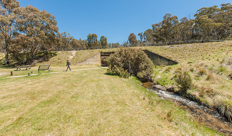 Waterfall walking track, Kosciuszko National Park. Photo: Murray Vanderveer &copy; OEH