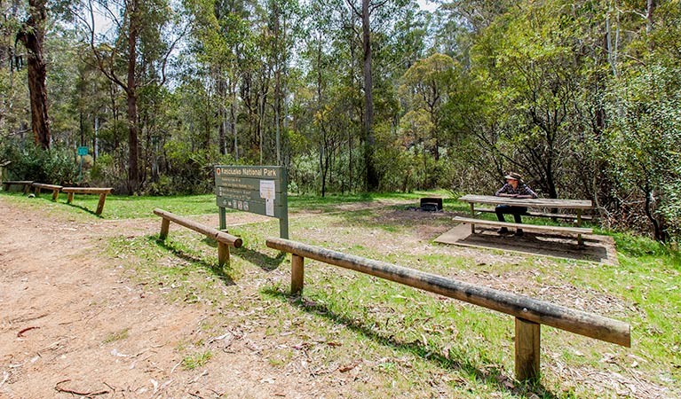 Buddong Falls campground, Kosciuszko National Park. Photo: Murray Vanderveer/NSW Government