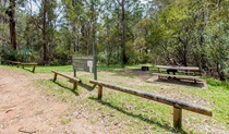Buddong Falls campground, Kosciuszko National Park. Photo: Murray Vanderveer/NSW Government